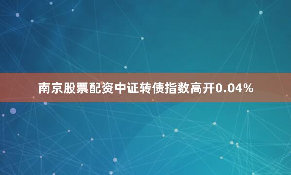 南京股票配资中证转债指数高开0.04%