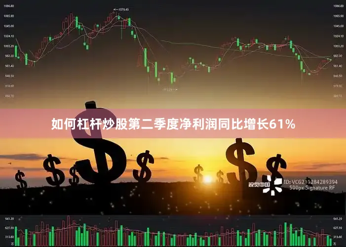 如何杠杆炒股第二季度净利润同比增长61%
