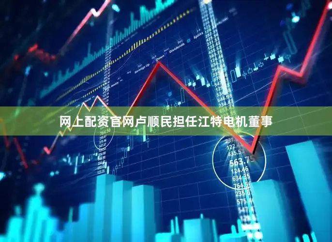 网上配资官网卢顺民担任江特电机董事